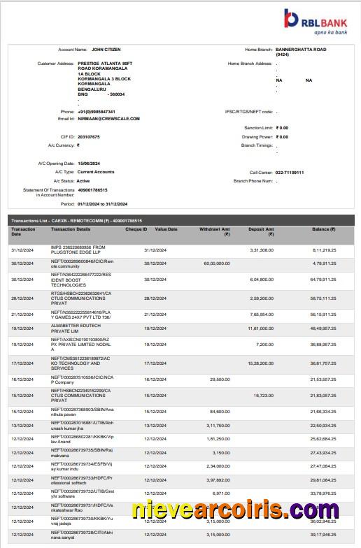 India RBL bank statement Word and PDF, 2 pages